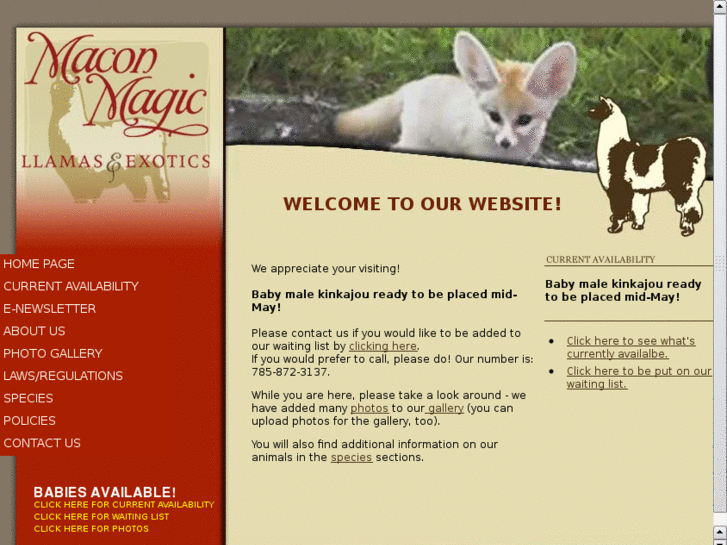 www.maconmagic.com