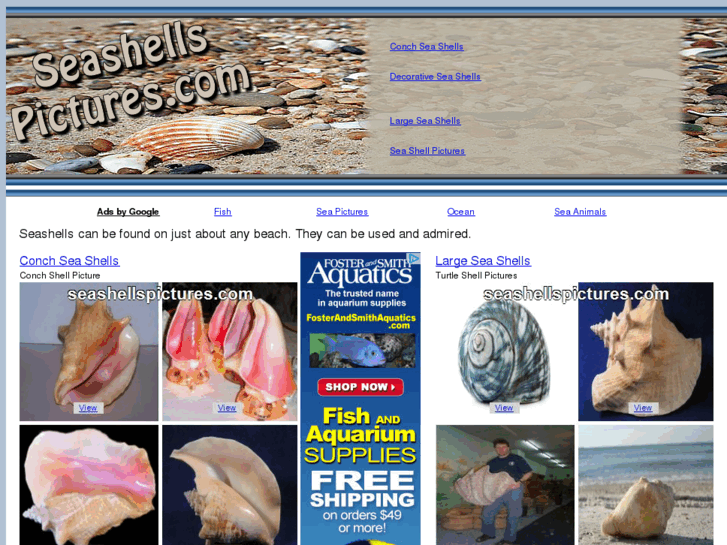 www.seashellspictures.com