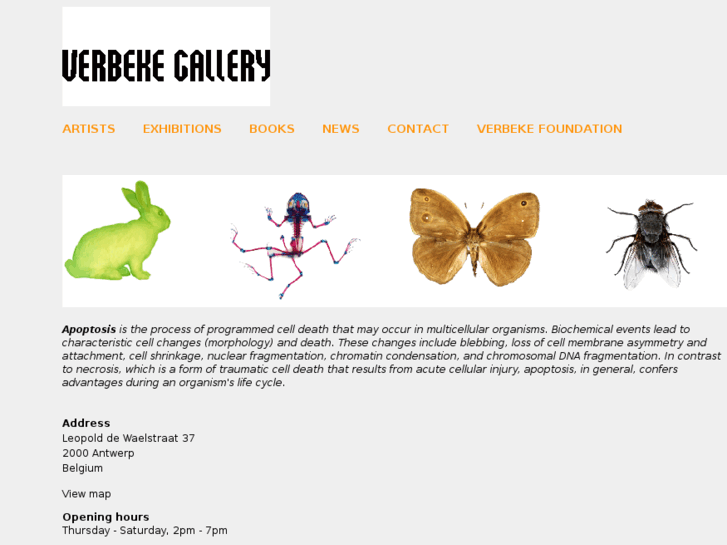 www.verbekegallery.com