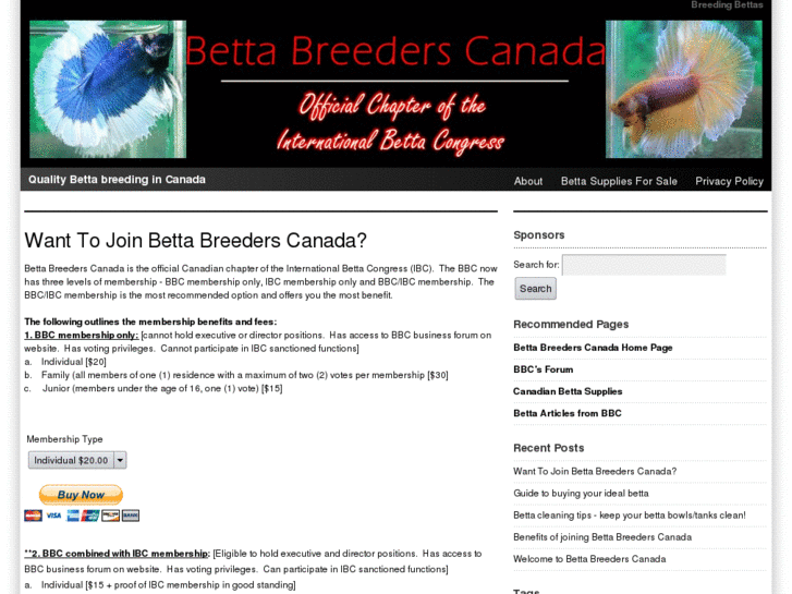 www.bettabreederscanada.com