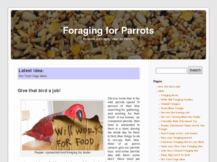 www.foragingforparrots.com