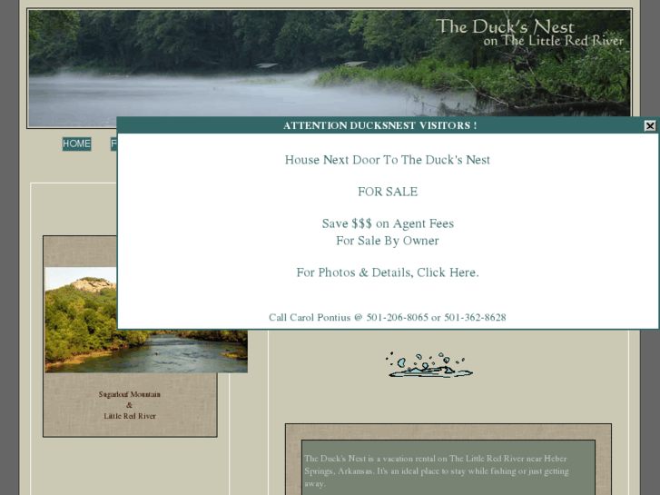 www.theducksnesthebersprings.com