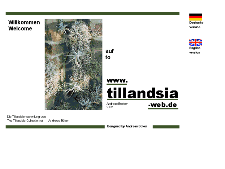 www.tillandsia-web.com