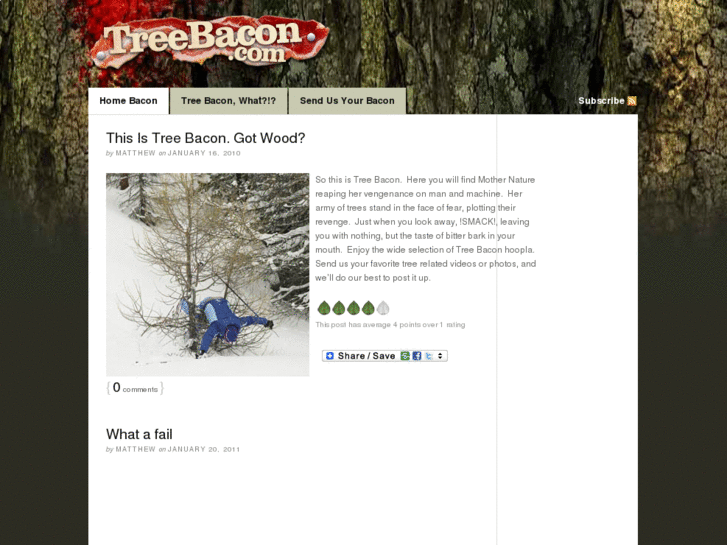 www.treebacon.com