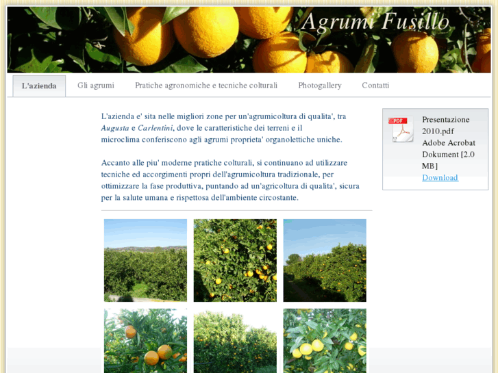 www.agrumifusillo.com