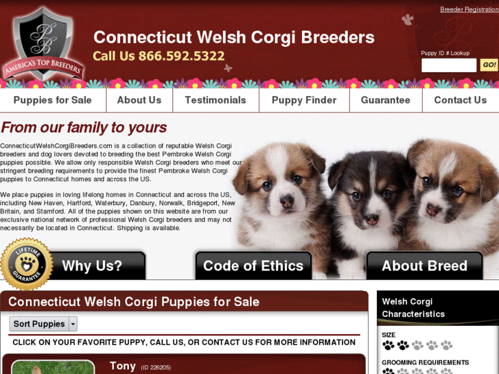 www.connecticutwelshcorgibreeders.com