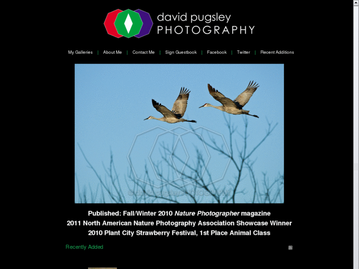 www.davidpugsleyphoto.com