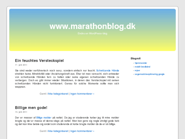 www.marathonblog.dk