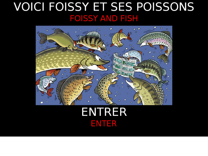 www.voicifoissy.com