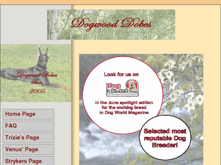 www.dogwooddobes.com