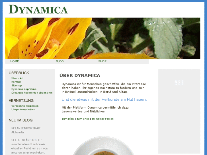 www.dynamica-kurse.ch