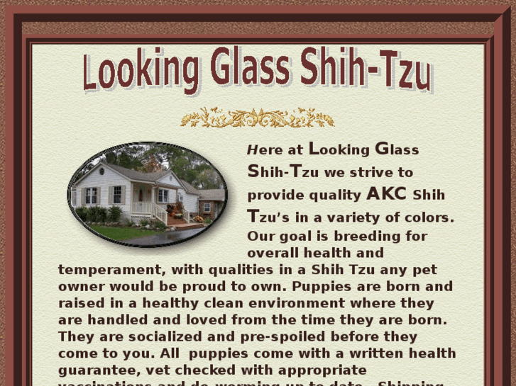 www.lookingglassshihtzu.com