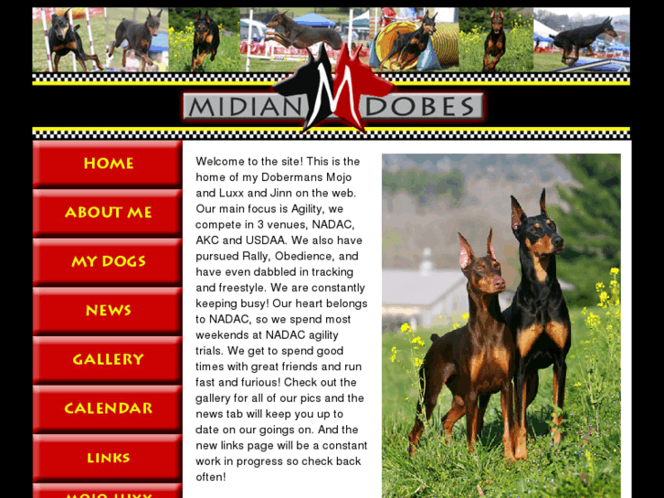 www.midiandobermans.com