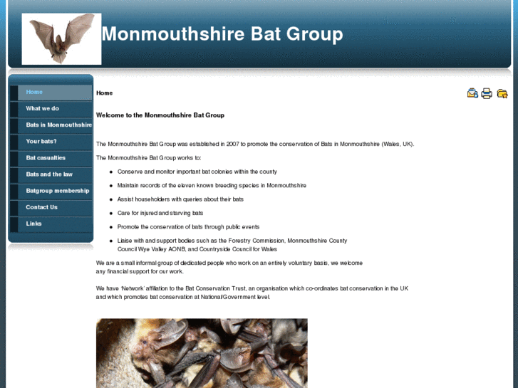 www.monmouthshirebatgroup.org