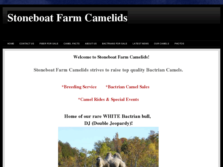 www.stoneboatfarmcamelids.com