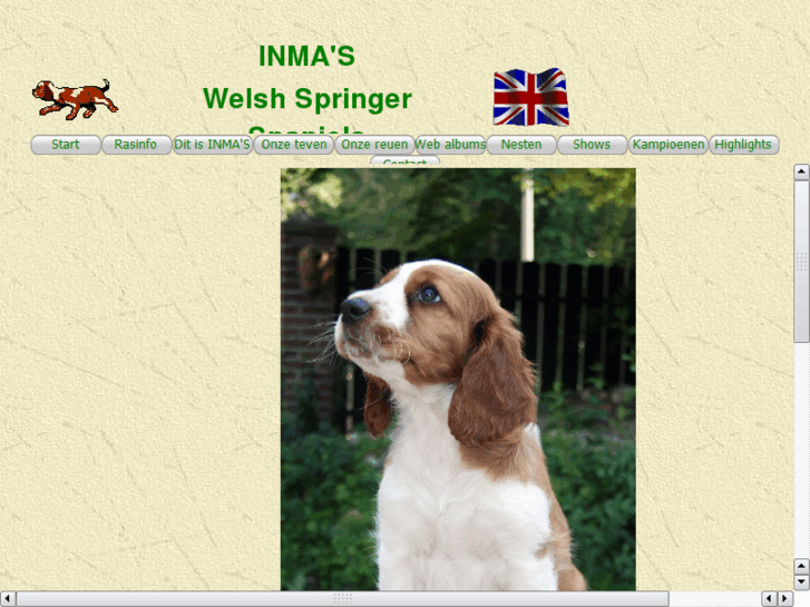 www.inmaswelshspringers.com