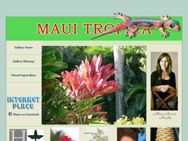 www.maui-tropica.com