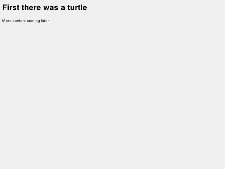 www.seriousturtle.com