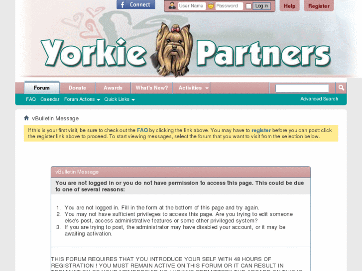 www.yorkiepartners.com