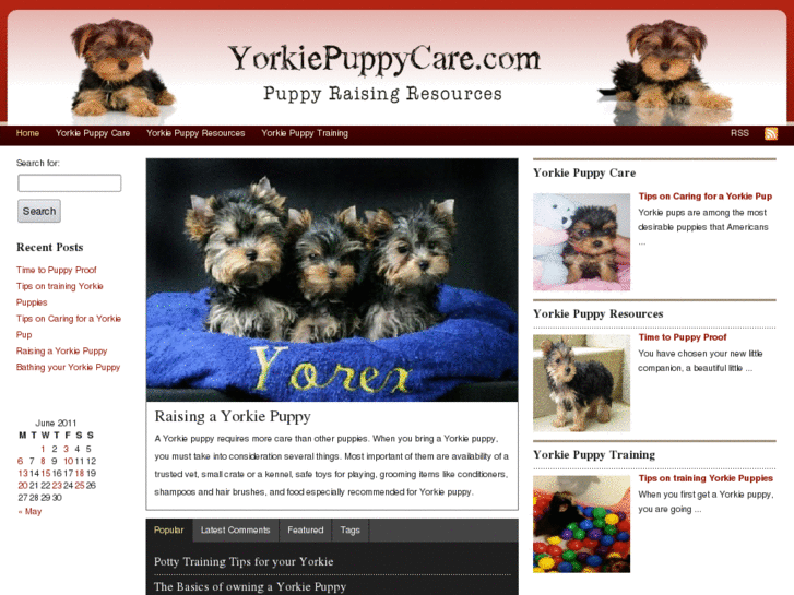 www.yorkiepuppycare.com