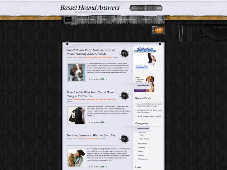 www.basset-hound-answers.com