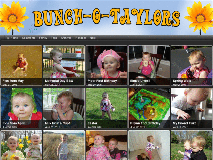 www.bunch-o-taylors.com