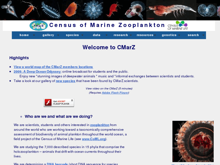 www.cmarz.info