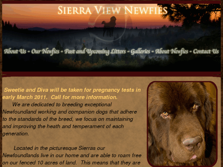 www.sierraviewnewfies.com