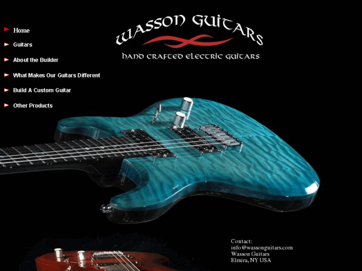 www.wassonguitar.com