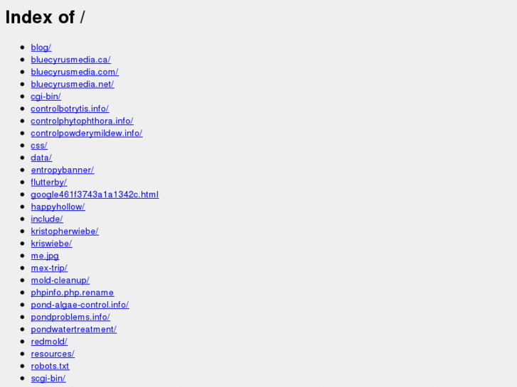 www.websoup.info