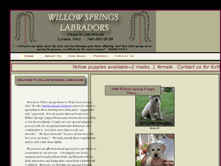 www.willowspringslabs.com