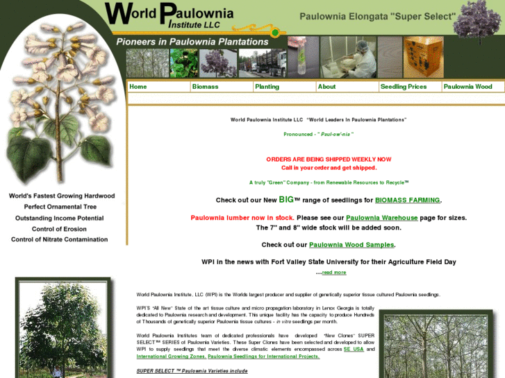 www.worldpaulownia.com