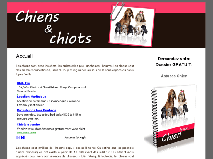 www.chiens-et-chiots-infos.com