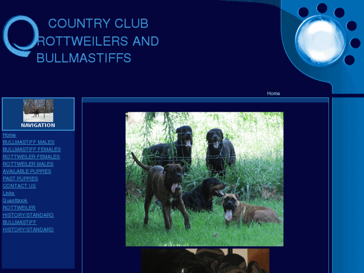 www.countryclubrottweilersnbullmastiffs.com