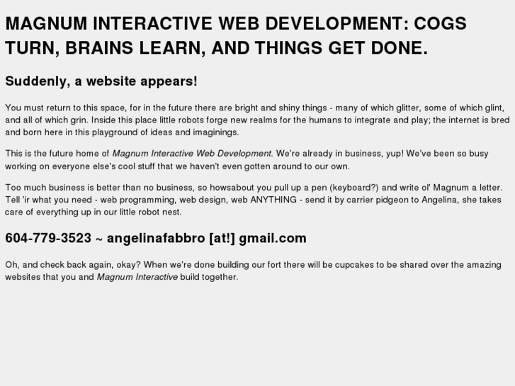 www.magnum-interactive.com