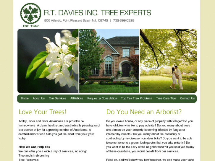 www.rtdaviestree.com