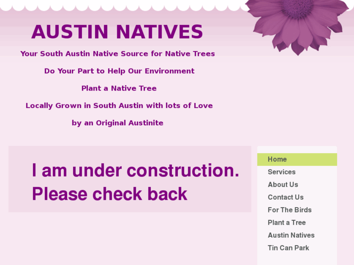 www.soaustin.com