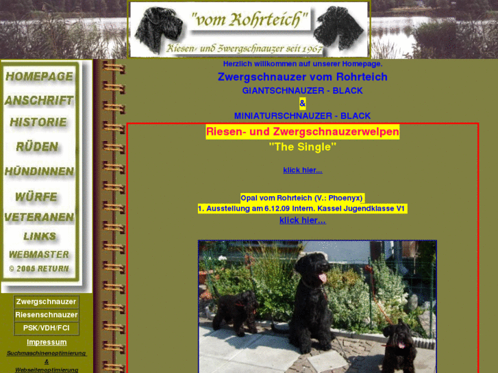 www.zwergschnauzer-vom-rohrteich.de