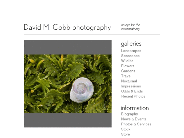 www.dmcobbphoto.com