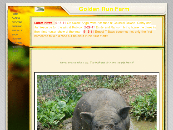 www.goldenrunfarm.net