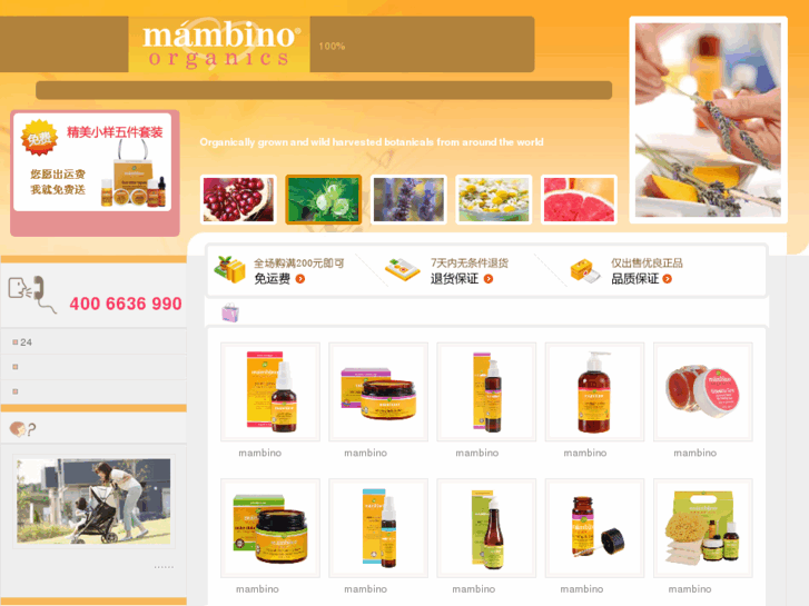 www.mambino.com.cn