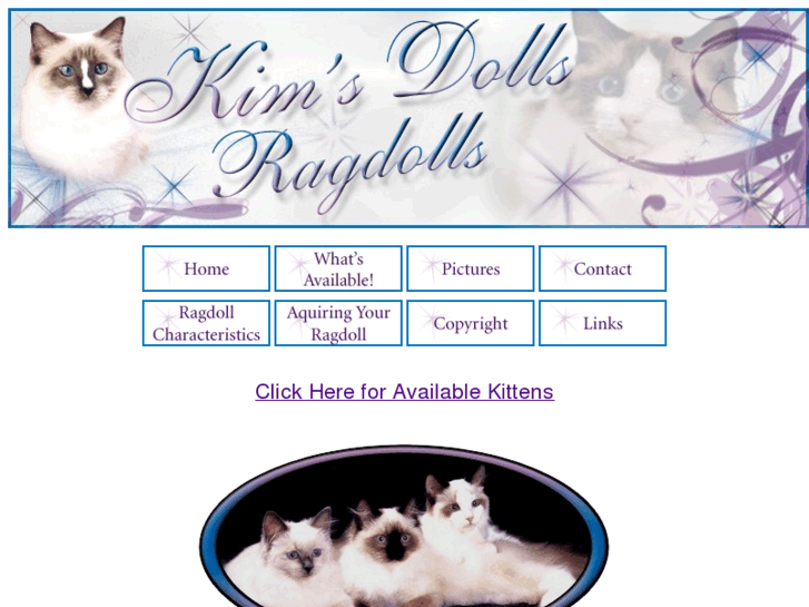 www.ragdollcat.com