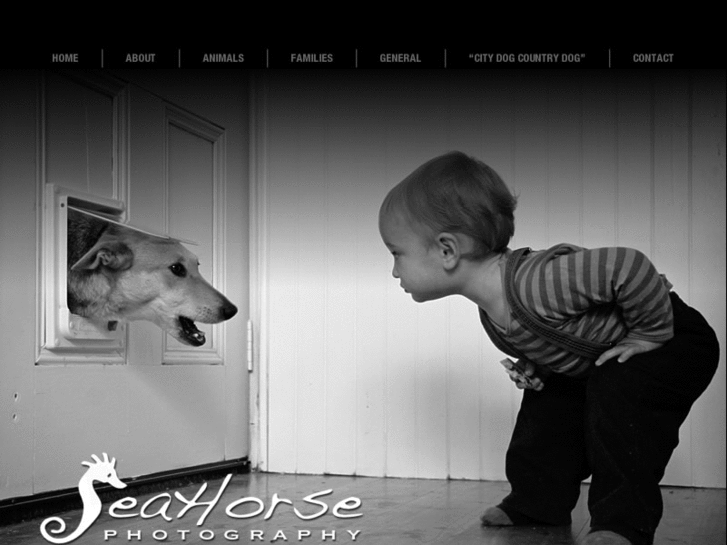 www.seahorsephotography.com