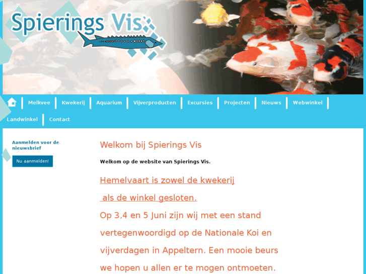 www.spieringsvis.nl