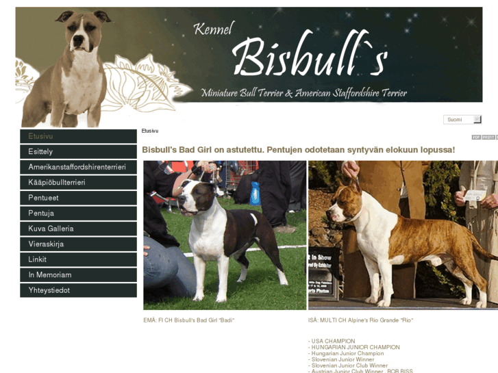 www.bisbulls.com