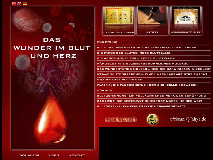 www.daswunderimblutundherz.com