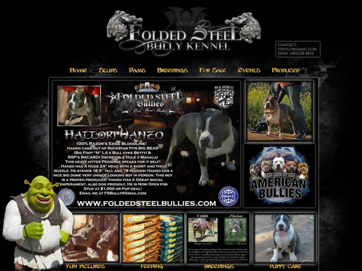 www.foldedsteelbullies.com