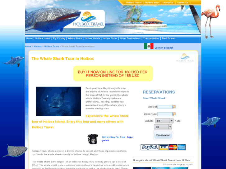 www.holboxwhalesharks.com