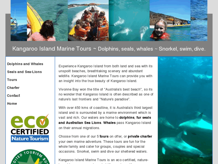 www.kimarineadventures.com