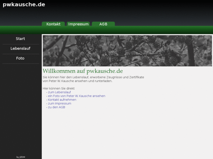 www.pwkausche.de